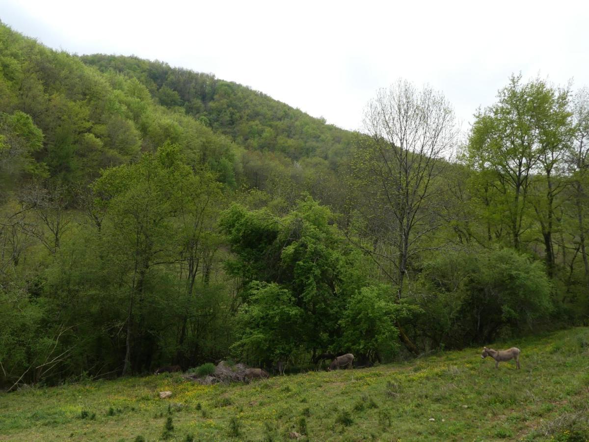 Source Nature Le Mas-d'Azil Exterior photo
