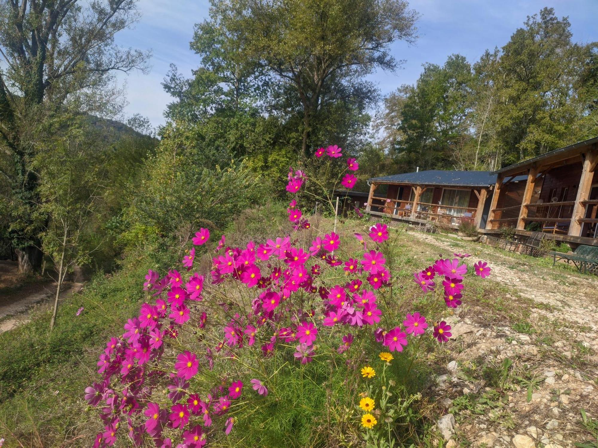 Source Nature Le Mas-d'Azil Room photo